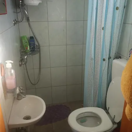 Dino Сasa de vacaciones